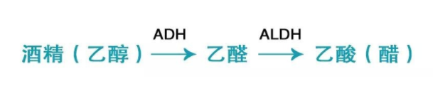 喝酒致癌的真相是什么？乙醛致癌太可怕