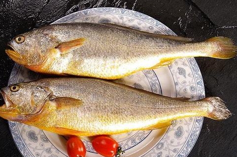 黃花魚是淡水魚還是咸水魚 海洋中長(zhǎng)大的一種魚