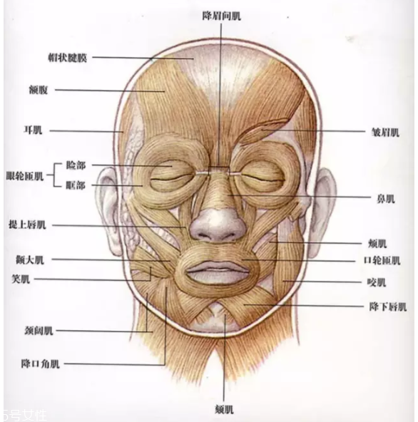 法令紋怎么去除？最有效的方法是醫(yī)美