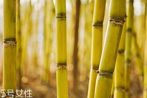 吃甘蔗臉會(huì)變大嗎？原來還有這么一說