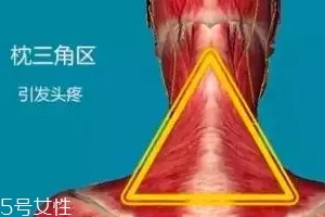 人體黃金三角區(qū)有哪些？養(yǎng)好了百病不擾