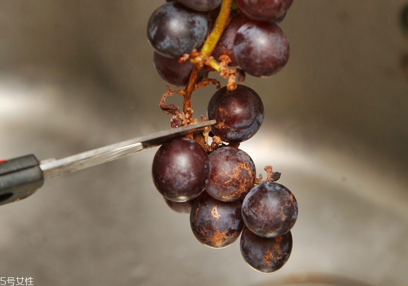 小蘇打洗菜能去農(nóng)藥殘留嗎 洗菜的6個(gè)小技巧