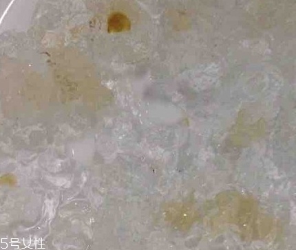 雪燕和桃膠能一起燉嗎？