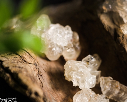 雪燕和銀耳哪個好？其實可以一起食用