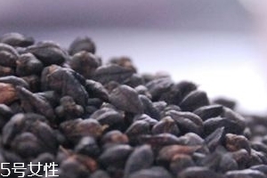 黑苦蕎茶上火嗎？蒸煮法苦蕎茶不上火