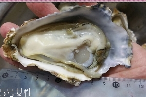 生蠔會(huì)有寄生蟲嗎？不生吃就沒關(guān)系