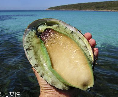 鮑魚罐頭好吃嗎？味道還可以