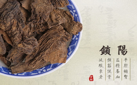 肉蓯蓉和鎖陽(yáng)可以一起泡酒嗎