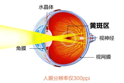 葉黃素和鈣片可以一起吃嗎