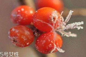 沙棘茶可以空腹喝嗎 沙棘茶的喝法