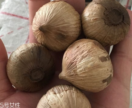 黑蒜怎么吃？黑蒜最好吃的吃法