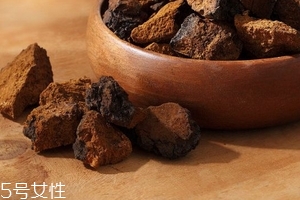 樺樹茸是樹黃嗎？樺樹茸屬于什么