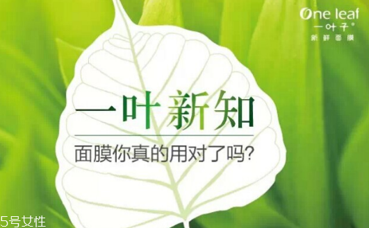 一葉子和膜法世家哪個(gè)好 一葉子和膜法世家區(qū)別