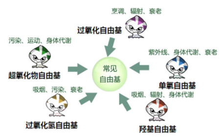 干性皮膚怎么抗衰老 干皮抗氧化牢記三個要點