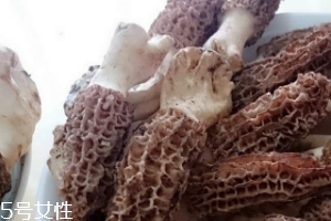 羊肚菌是什么東西？羊肚菌能吃嗎？