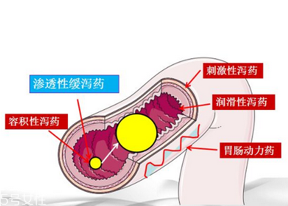 瀉藥吃了多久后開始排便？