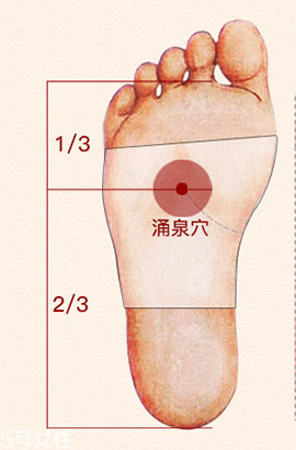 溢涌堂老北京足貼價錢 溢涌堂老北京足貼多少錢？