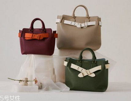 burberry the belt bag多少錢？巴寶莉貝爾特包專柜價(jià)格