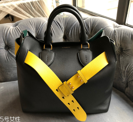 burberry the belt bag多少錢？巴寶莉貝爾特包專柜價(jià)格