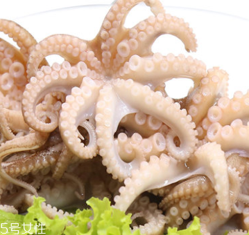 章魚是什么顏色？章魚是什么樣子？