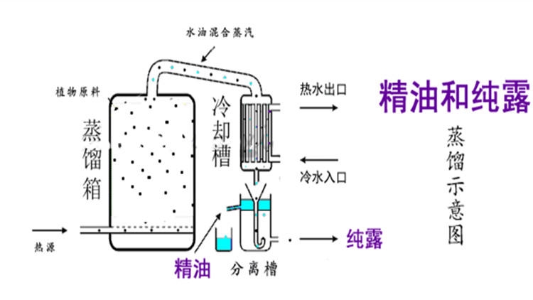 純露怎么濕敷效果好？純露濕敷的正確步驟