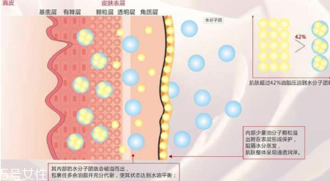 頑固痘痘怎么消除？油皮為什么反復爆痘？