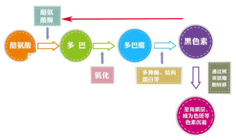 干性皮膚怎么去斑最好 堅持3原則斑點拜拜