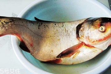 鰱魚(yú)身上有紅點(diǎn)能吃嗎 病死魚(yú)最好不要食用