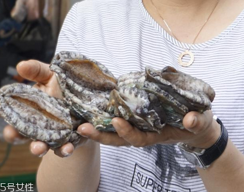 鮑魚可以燉湯嗎 鮑魚湯超美味