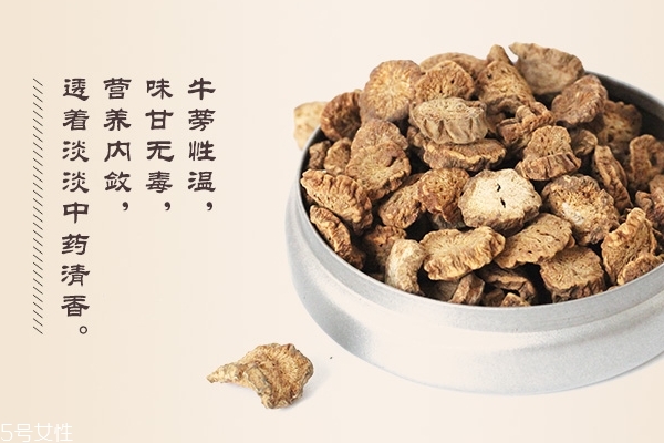 牛蒡茶喝了上火嗎 正常情況下不會(huì)