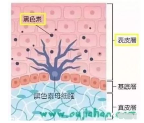 黑眼圈嚴(yán)重怎么去除 跟熊貓眼說(shuō)byebye