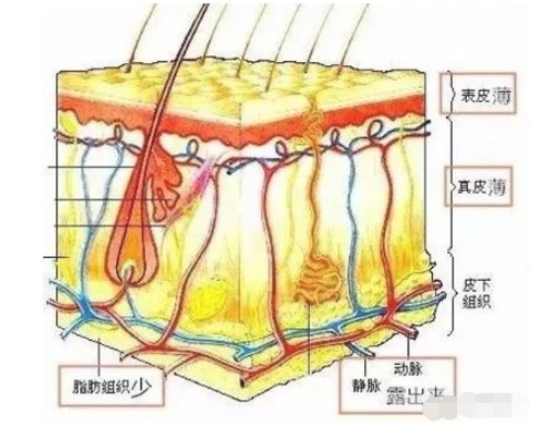 黑眼圈嚴(yán)重怎么去除 跟熊貓眼說(shuō)byebye