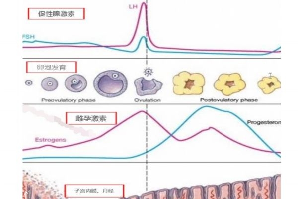 高齡如何備孕 這幾點(diǎn)一定要注意