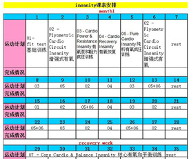 insanity是什么 能減肥嗎