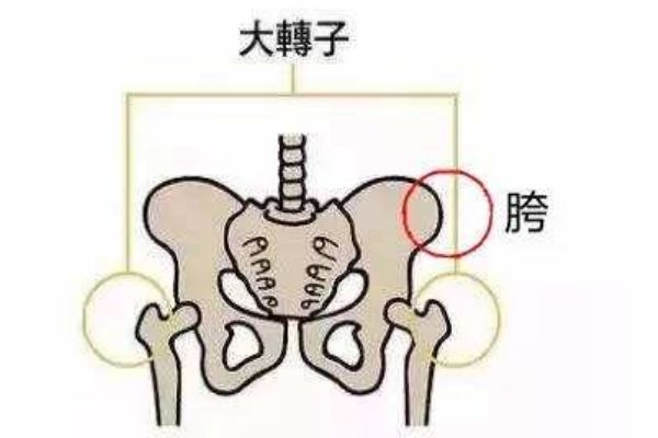 假胯寬可以糾正嗎 可以糾正的