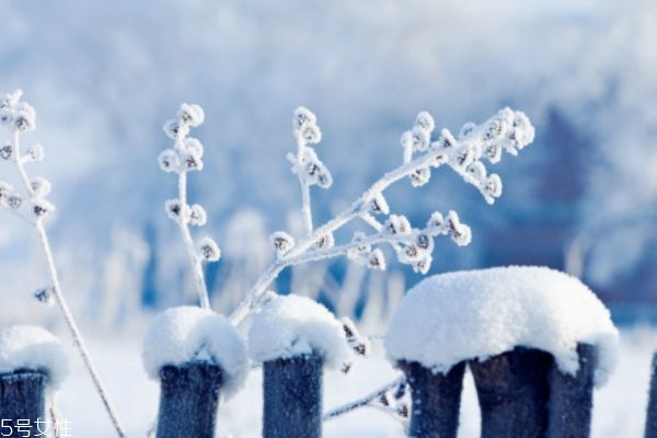 冬天適合去哪里旅游 滑雪溫泉一個(gè)都不能少