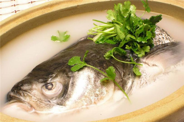 鳙魚是什么魚 營(yíng)養(yǎng)美味食材