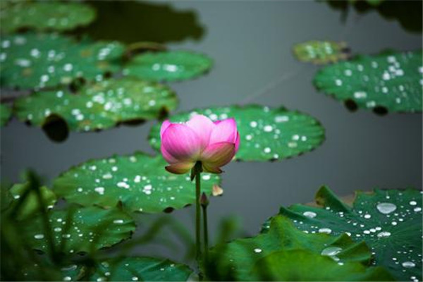 梅雨季節(jié)怎么防潮 梅雨季節(jié)防潮的方法