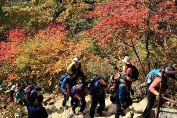 登山老人要注意什么 登山的正確方式