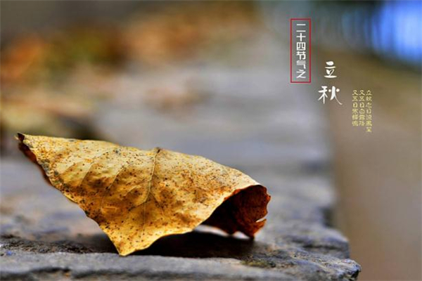 立秋無雨是空秋有什么說法 立秋不下雨真的影響收成嗎