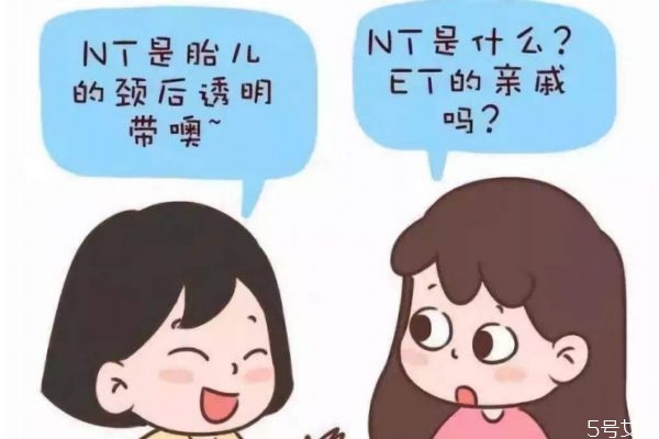 nt檢查可以什么時候做 nt檢查什么時候做最準(zhǔn)確