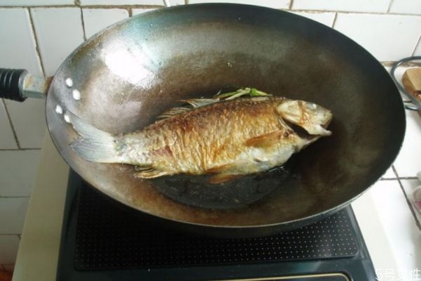 鯽魚湯怎么做白 鯽魚湯怎么熬成奶白色