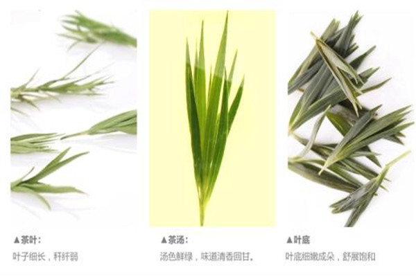 女性喝石竹茶的好處 月經(jīng)期能喝石竹茶嗎