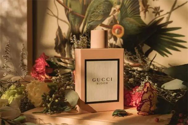 gucci花悅香水真假辨別 gucci花悅香水適合年齡