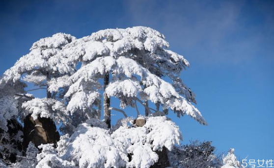 元旦去哪里看雪比較好 中國(guó)看雪的十大地方