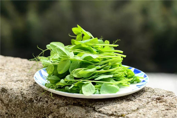 什么野菜抗癌最有效 野菜都有哪些品種可以吃