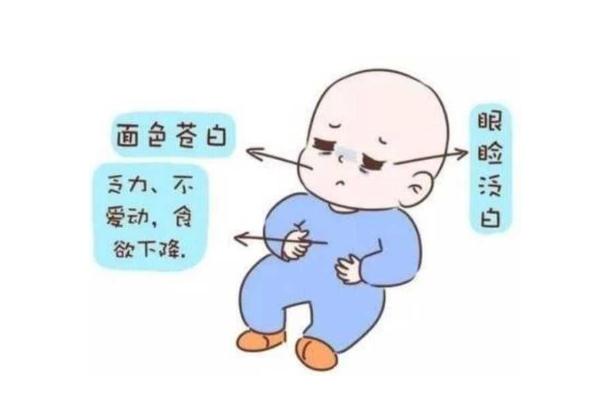 寶寶貧血吃什么補血最快 寶寶貧血吃什么藥