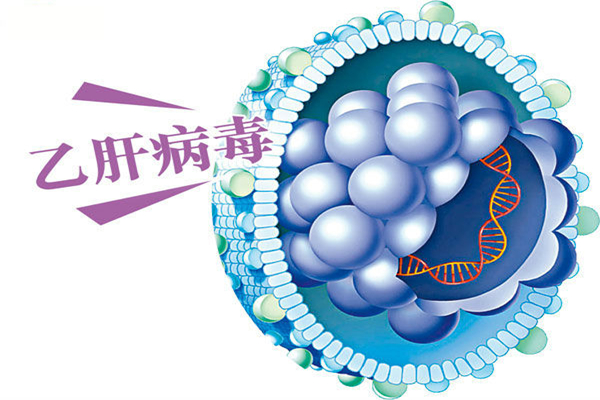 乙肝有什么明顯癥狀 乙肝攜帶者會(huì)傳染人嗎