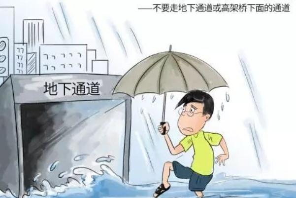 鄭州發(fā)暴雨預(yù)警后車停滿高架 暴雨應(yīng)急自救常識(shí)