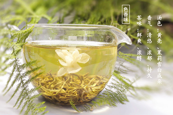 茉莉花茶可以和菊花一起泡嗎 茉莉花茶可以和玫瑰花一起泡嗎